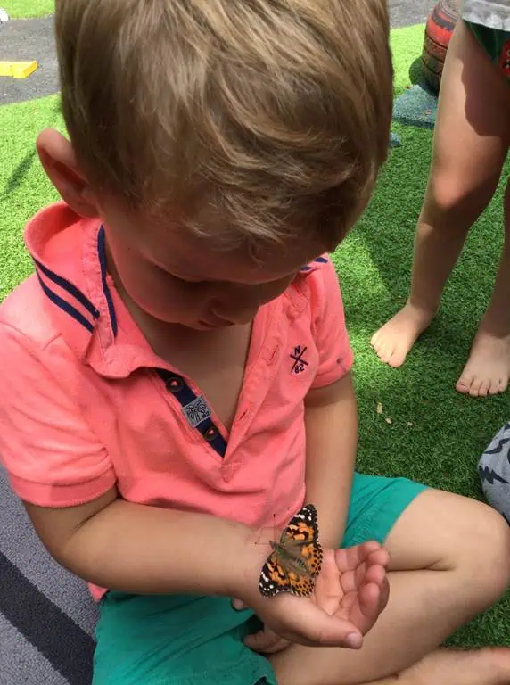 carefully holding butterflies