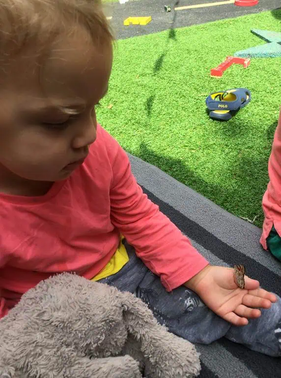 spending time with butterflies