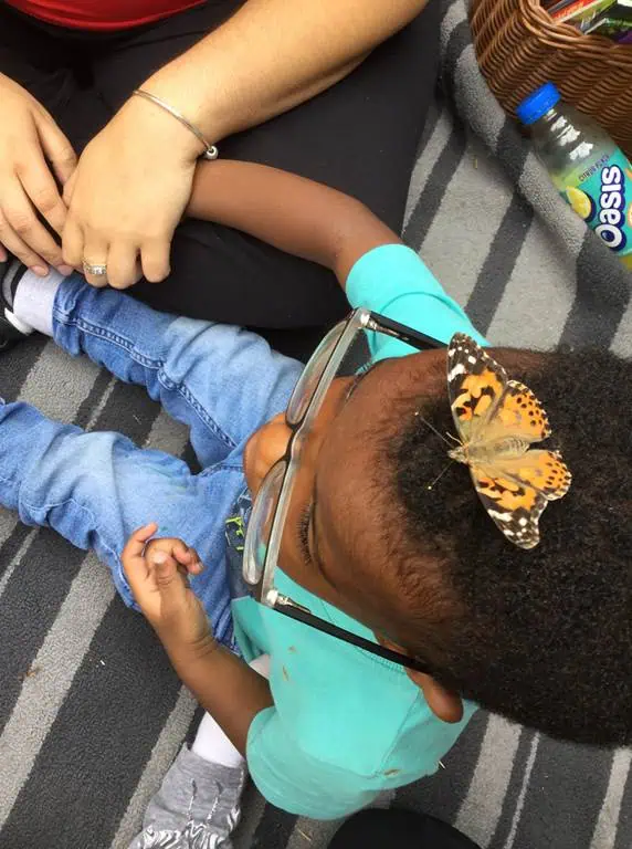 butterflies landing on us