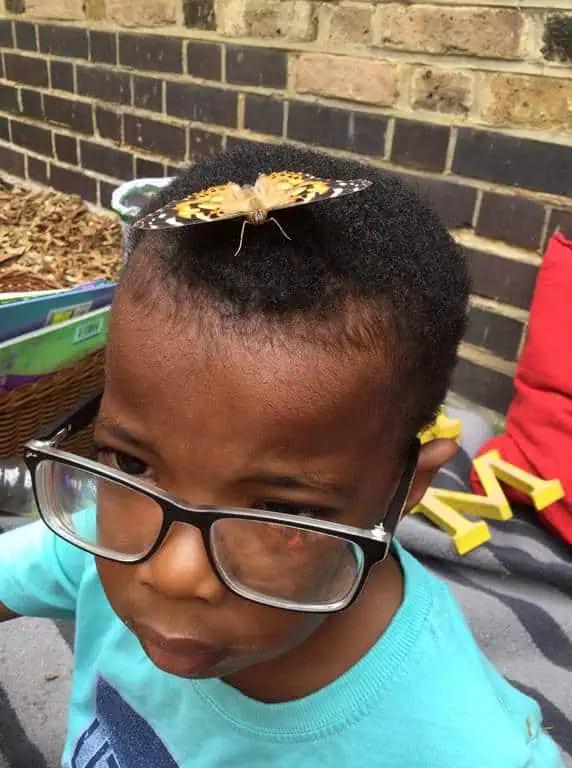 Learning about butterflies
